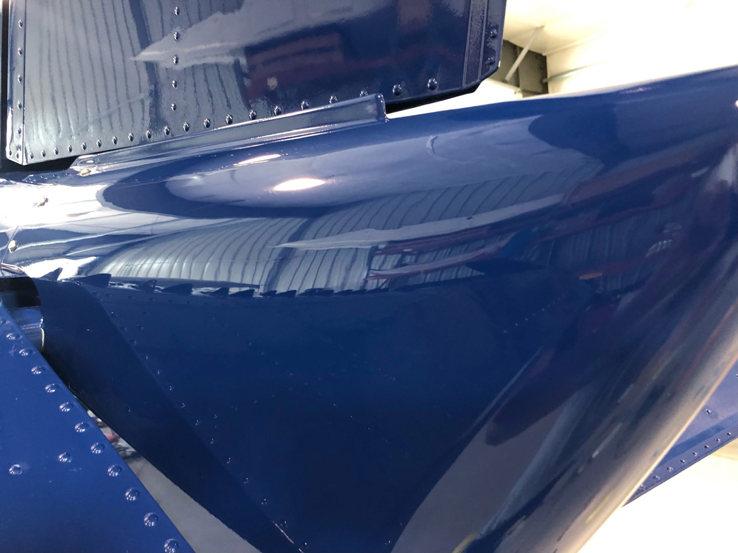 Aircraft Paint Protection