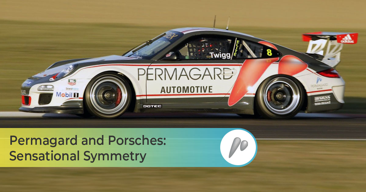 Permagard and porsches Sensational Symmetry