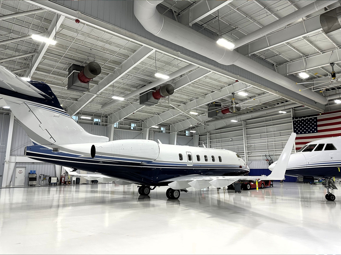 Bombardier aviation Paint Protection
